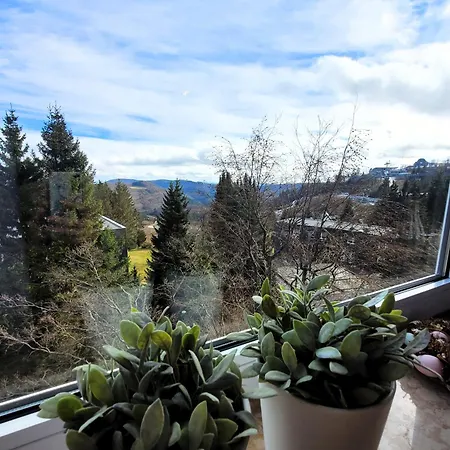 21088 Apartment